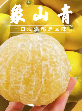 正宗象山青柑橘当季春香当季柚小柚子柠檬蜜橘纯甜爆汁不上火橘柚
