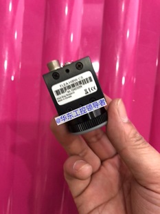 全新无包装 咨询优惠价 HIBW FLEA