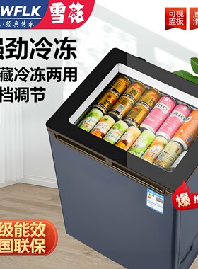 新款一级节能小冰柜冷藏柜可移动