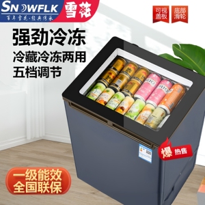 新款一级节能小冰柜冷藏柜可移动