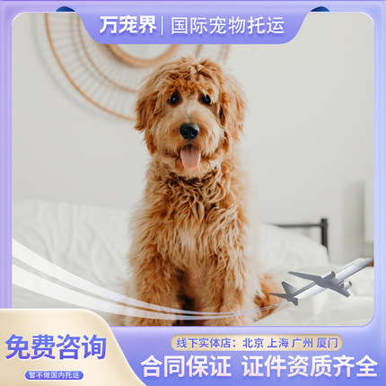 猫咪托运日本 狗狗托运日本 猫咪托运韩国 狗日本回国 狗韩国回国
