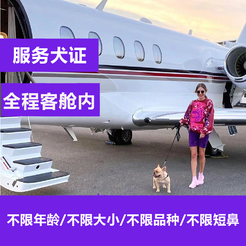 狗狗办理服务犬证PSD 情感抚慰犬证 客舱内托运猫咪狗狗美国回国