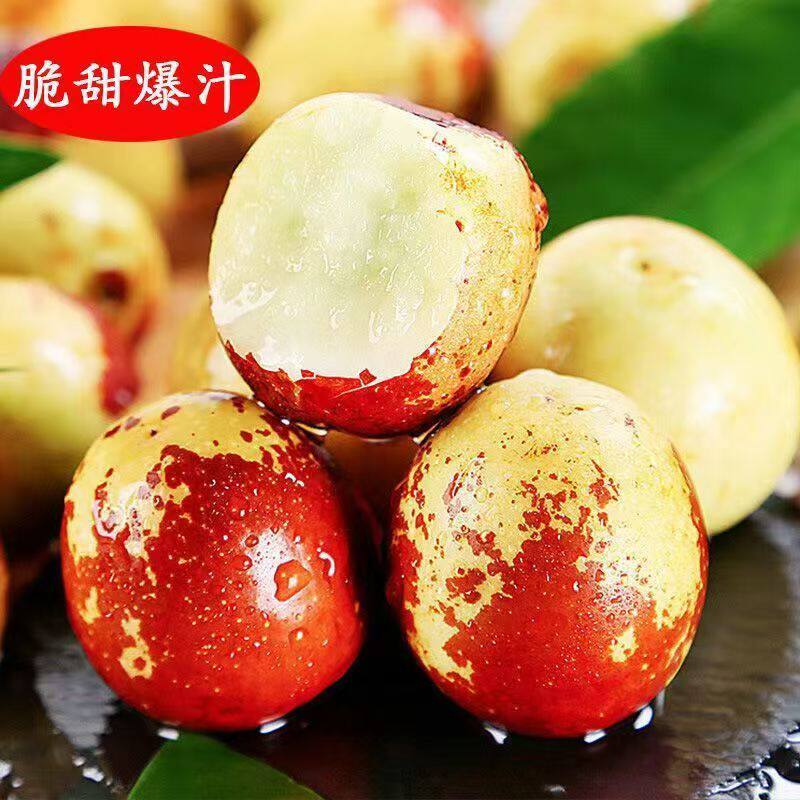陕西特产大荔冬枣新鲜水果当季时令青枣红枣大果枣子脆甜