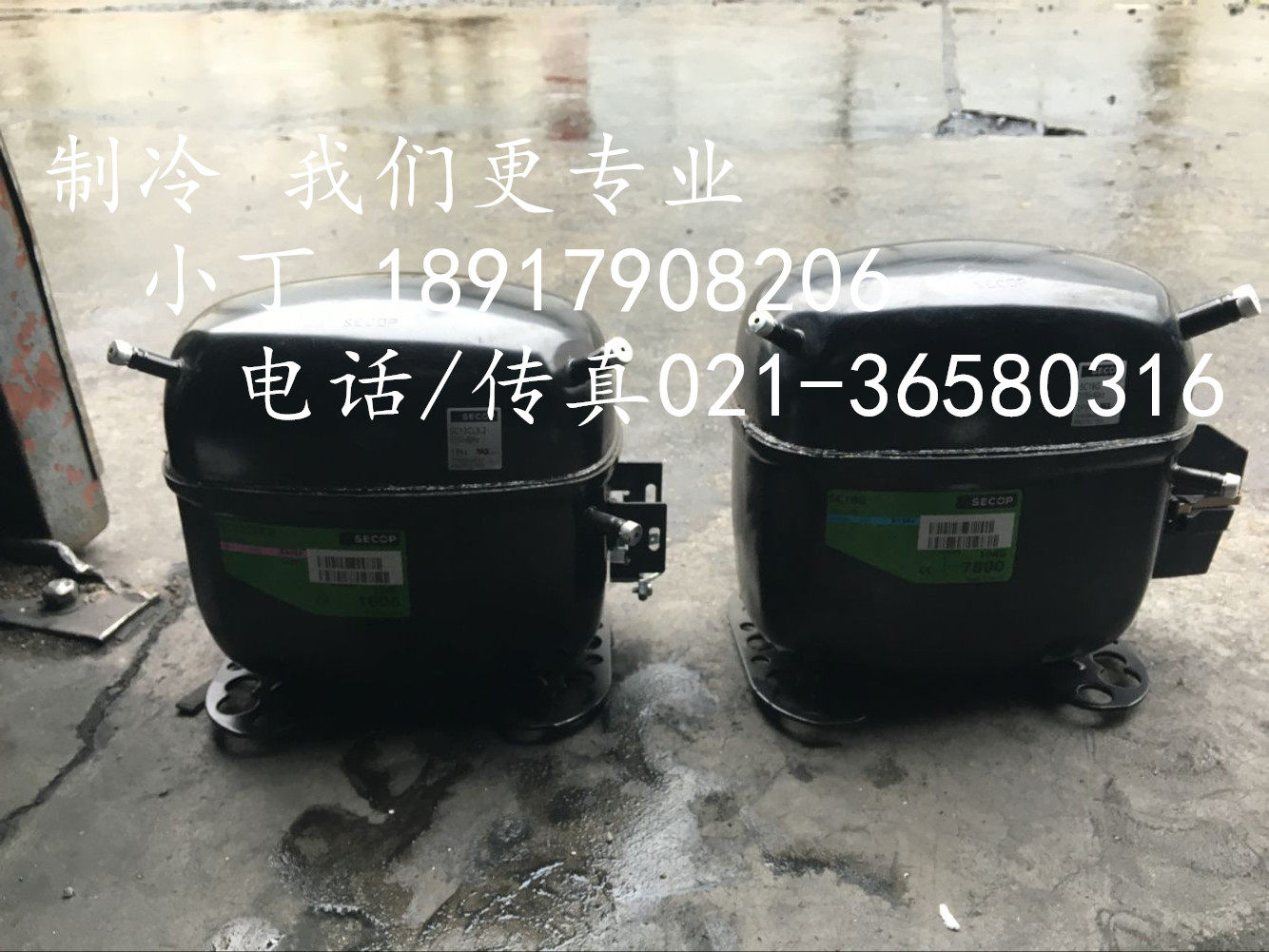 Danfoss Polular Science compressor SC12CLX.2 R404A/R507A compressor 115V-60HZin the Large household appliances , Large appliance parts , Freezer/Wine/Portable hot and cold boxes Accessories  category - from Buy2taobao.com to provide professional Taobao agent buy service