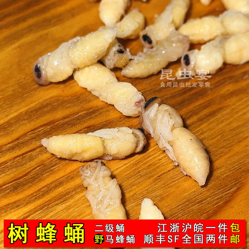 野生葫芦蜂2级鲜新树蜂蛹马蜂冷冻幼蜂云南特产昆虫子美食2件包邮