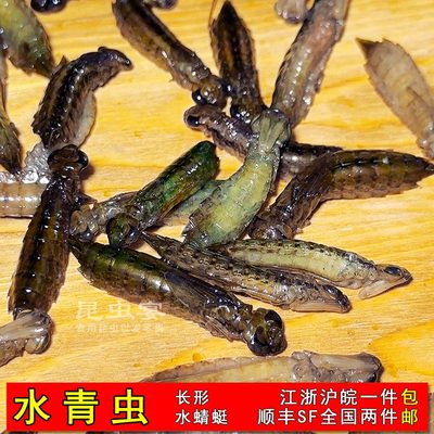 新鲜冷冻水蜻蜓幼虫马帮美味菜肴