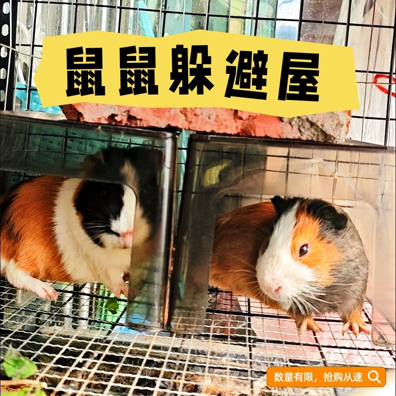 豚鼠宠物窝鼠鼠躲避屋猫窝金丝熊兔子草窝四季用品遮光仓鼠猪猪屋,宠物/宠物食品及用品,窝,淘宝优惠券,粉丝福利购,淘宝优惠卷