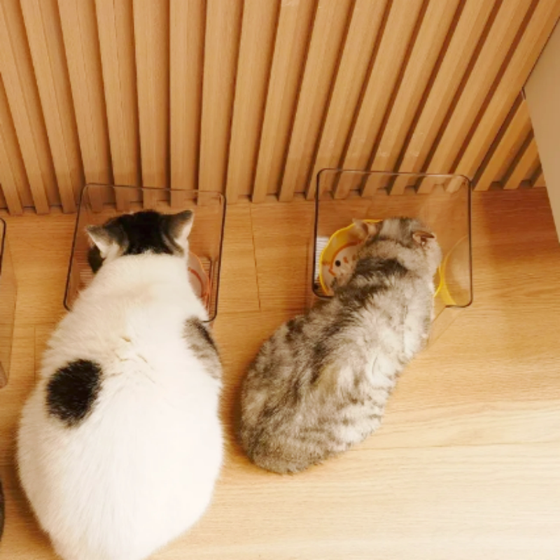 猫咪吃饭防溅盒子粮食盒猫猫用具猫碗仓鼠躲避屋豚鼠窝子小宠用品图片