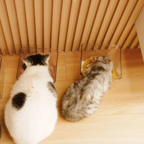 猫咪吃饭防溅盒子粮食盒猫猫用具猫碗仓鼠躲避屋豚鼠窝子小宠用品