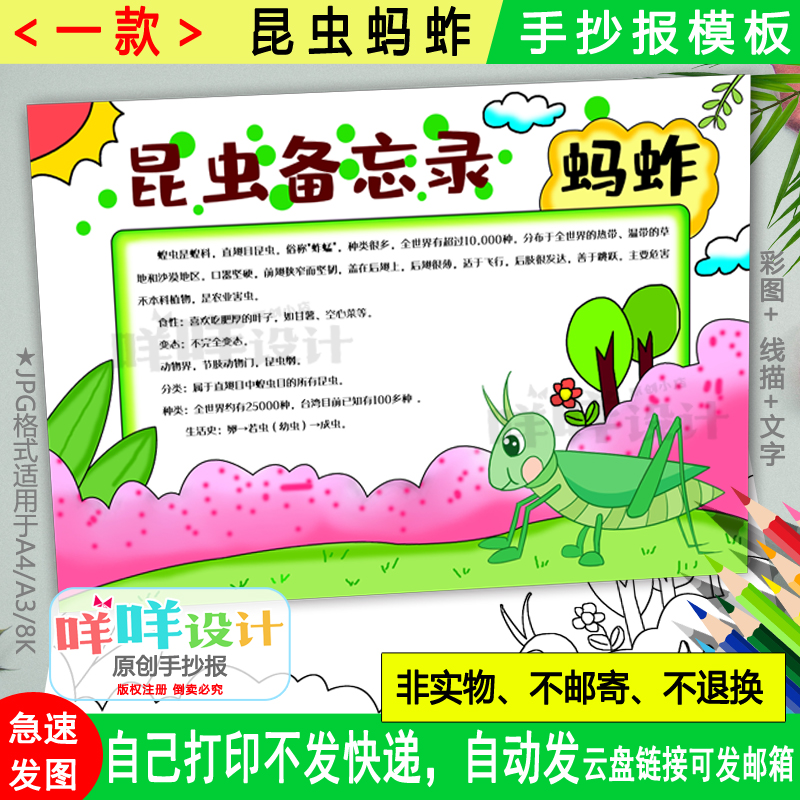 蚂蚱自然笔记小报黑白线描涂色空白三年级昆虫备忘录手抄报模板