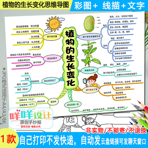 教科版四下科学植物的生长变化思维导图线描涂色空白手抄报模板