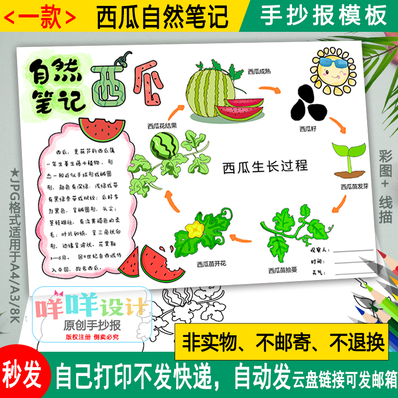 西瓜水果观察日记涂色描线空白a4/a3/8k小学生自然笔记手抄报模板