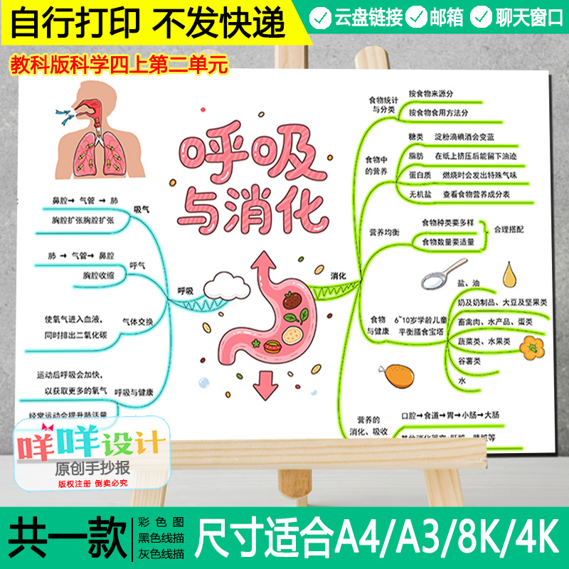 四年级上册科学呼吸与消化思维导图黑白线描涂色空白手抄报模板