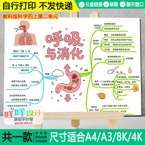 四年级上册科学呼吸与消化思维导图黑白线描涂色空白手抄报模板