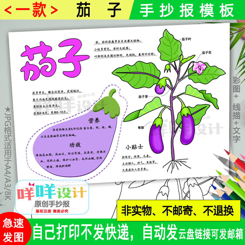 茄子自然笔记观察小报黑白线描涂色空白小学生蔬菜名片手抄报模板