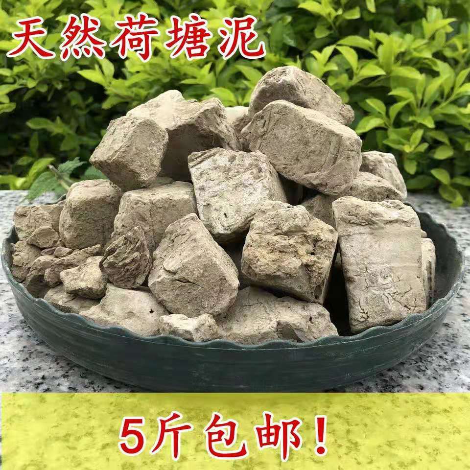 天然方块荷塘泥土水培土睡莲碗莲水生花通用型淤泥荷花土营养肥土