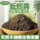 蚯蚓粪有机肥花肥料营养土种菜种花育苗基质多肉种植肥纯牛粪喂养