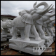 现货汉白玉吉祥如意大象雕刻石雕招财大象一对喷水小象雕塑定做