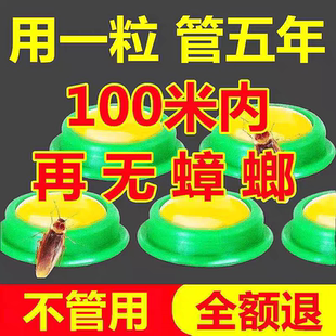 厨房强力灭杀蟑胶饵除蟑神器 蟑螂药一窝全窝端家用室内非无毒正品