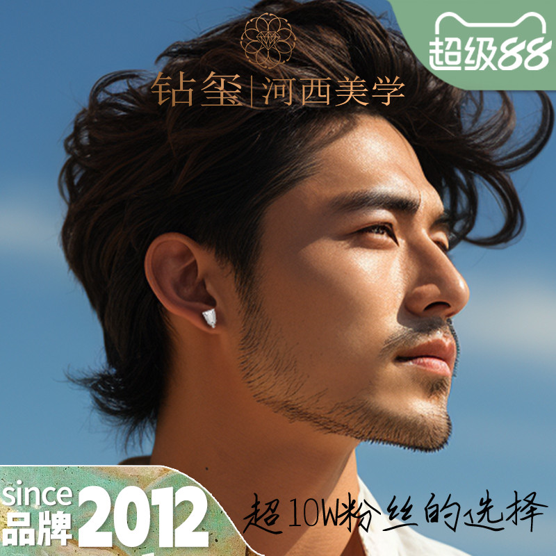 钻玺河西美学骠骑之盾钻石耳钉