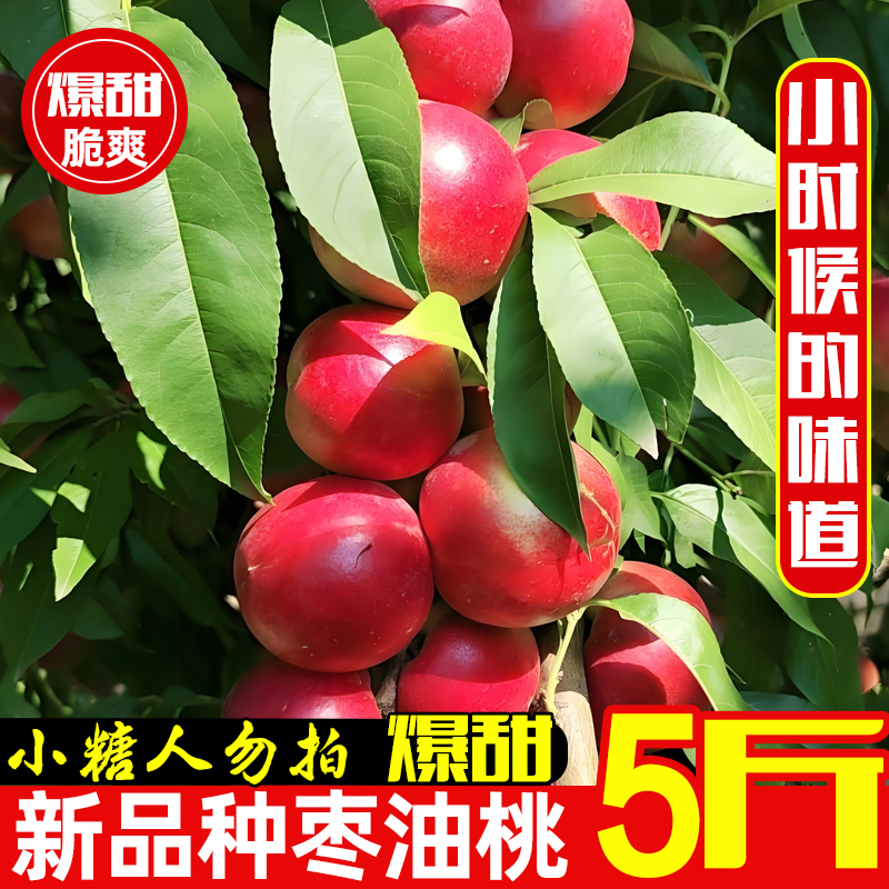 珍珠枣油桃新鲜水果当季鲜果蜜桃白肉红皮纯脆甜小桃子麻点丑桃