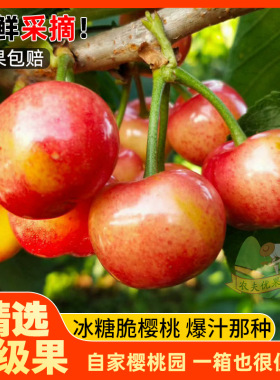 陕西布鲁克斯樱桃国产车厘子当季水果精选特大果3J冰糖脆顺丰包邮