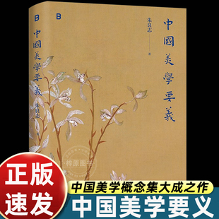 中国美学要义 朱良志 中国美学概念集大成之作 文津奖得主朱良志经典美学课程 传统文化文艺赏读中国美学知识大众阅读科普读物书籍