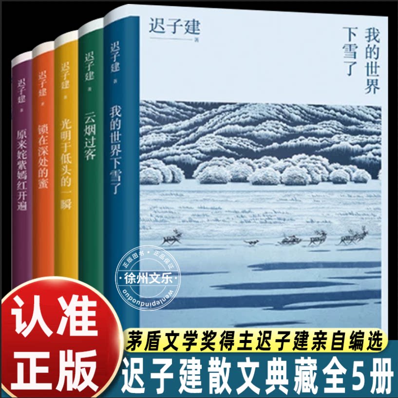 迟子建散文集全套5册我的世界下雪了云烟过客光明于低头的一瞬锁在深处的蜜原来姹紫嫣红开遍现当代文学散文随笔名家作品