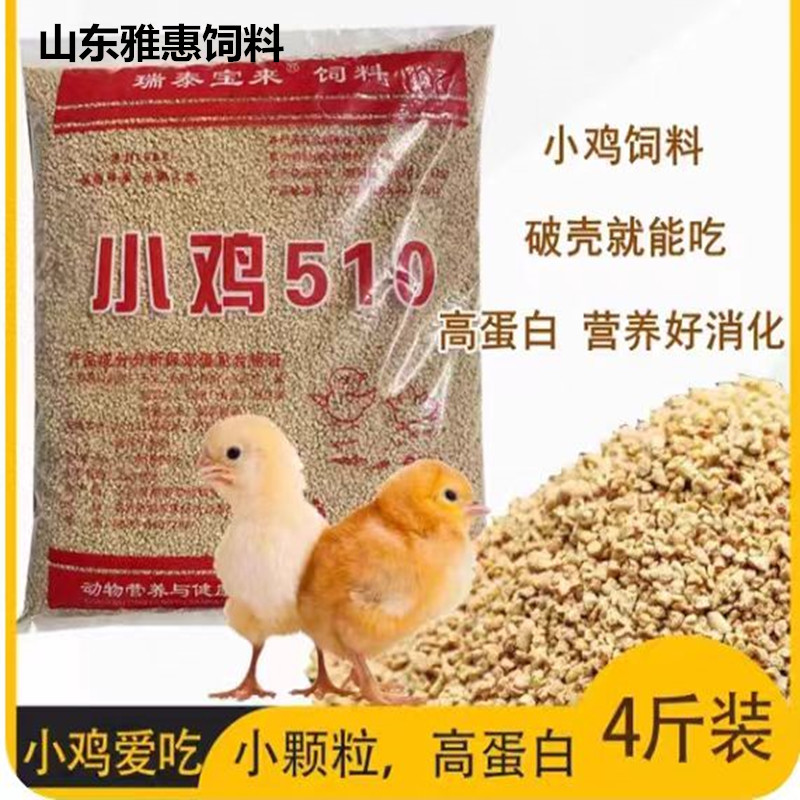 芦丁钓鱼中大肉小鸡饲料草蛋