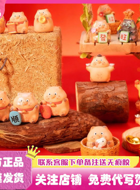 正版Lucky RoRo九花肉好运百分百萌粒盲袋盲盒潮玩手办公仔摆件