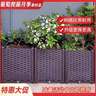 特价 特深种植箱 种果树蔷薇葡萄 大型花盆槽架 长方形阳台种菜盆
