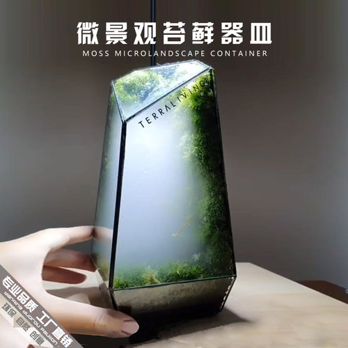 玻璃花房苔藓微景观北欧生态瓶