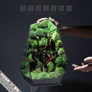创意桌面雨林苔藓微景观器皿