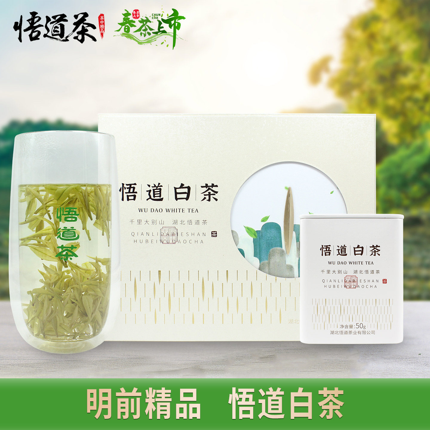 悟道白茶精品系列2026年大悟柏园黄龙寺高山早春茶叶明前特级茶