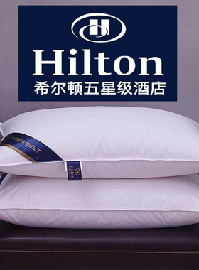 Pillow Healthy pillows feather velvet hotel pillow for bed