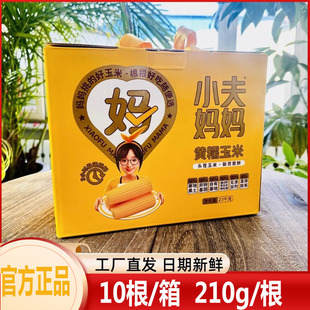 2025年小夫妈妈花甜糯玉米东北真空即食白糯黄糯软礼盒