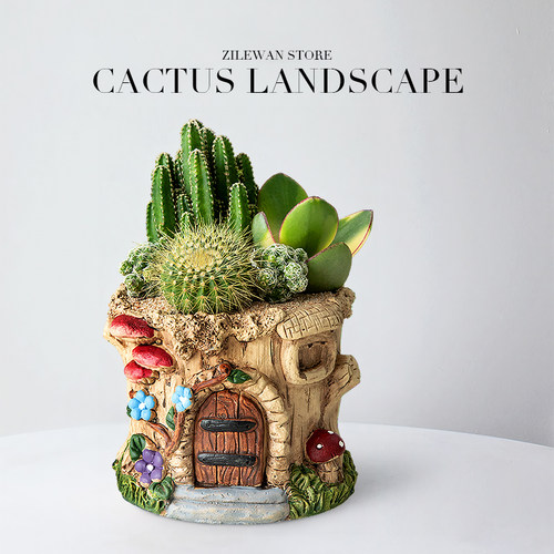 多肉植物室内盆栽简单好养