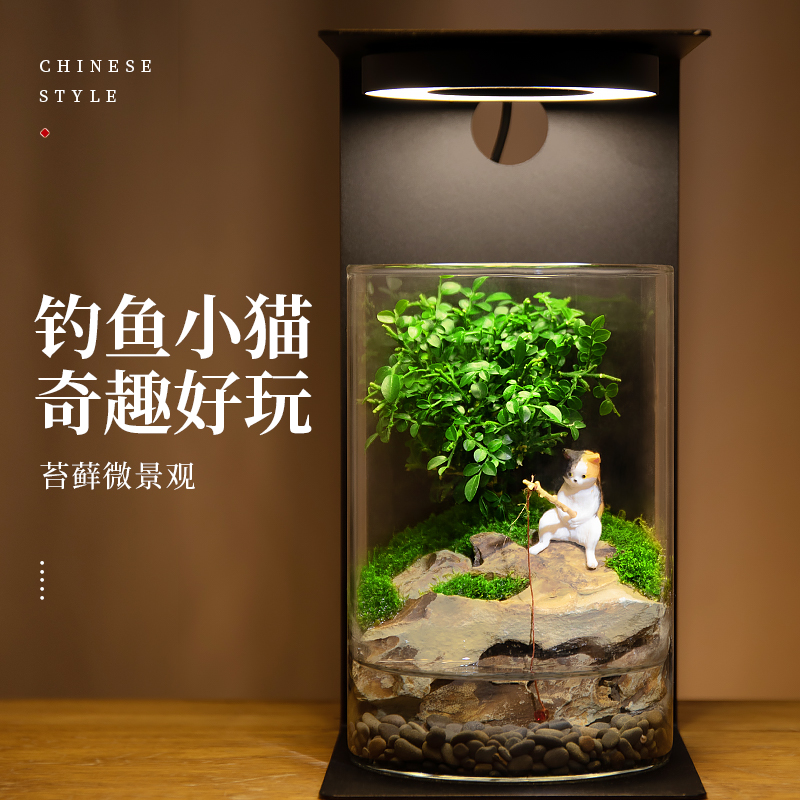 创意微景观办公室桌面绿植盆栽耐养免打理生态瓶可养鱼缸造景盆景