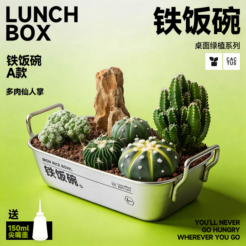 铁饭碗多肉仙人掌植物组合盆栽创意男生生日礼物办公室桌面绿植