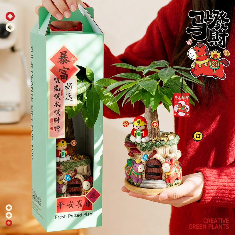 【马上发财】发财树盆栽室内招财绿植办公室送礼好养植物花卉盆景