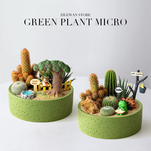 多肉植物室内桌面盆栽仙人掌