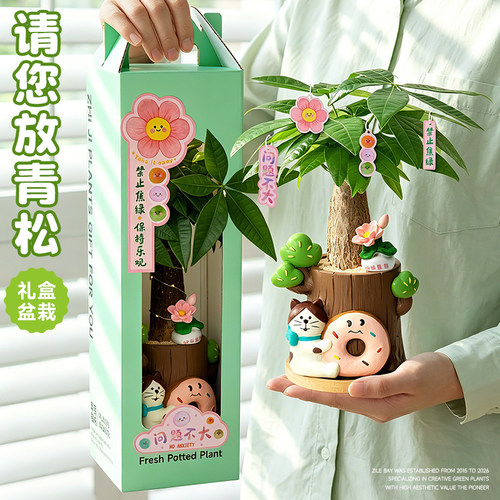情绪稳定植物发财树解压摆件礼物