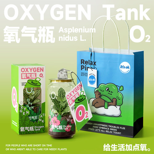 氧气瓶情绪植物桌面绿植生日礼物