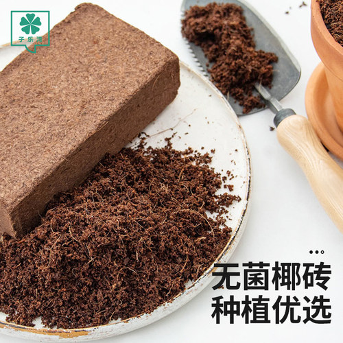 种花种菜椰砖营养土通用