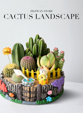 多肉植物室内盆栽办公室桌面小仙人掌仙人球花卉钱串绿植摆件礼物