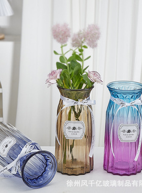 创意渐变玻璃花瓶客厅装饰干花插花桌面绿萝水培客厅家居摆件
