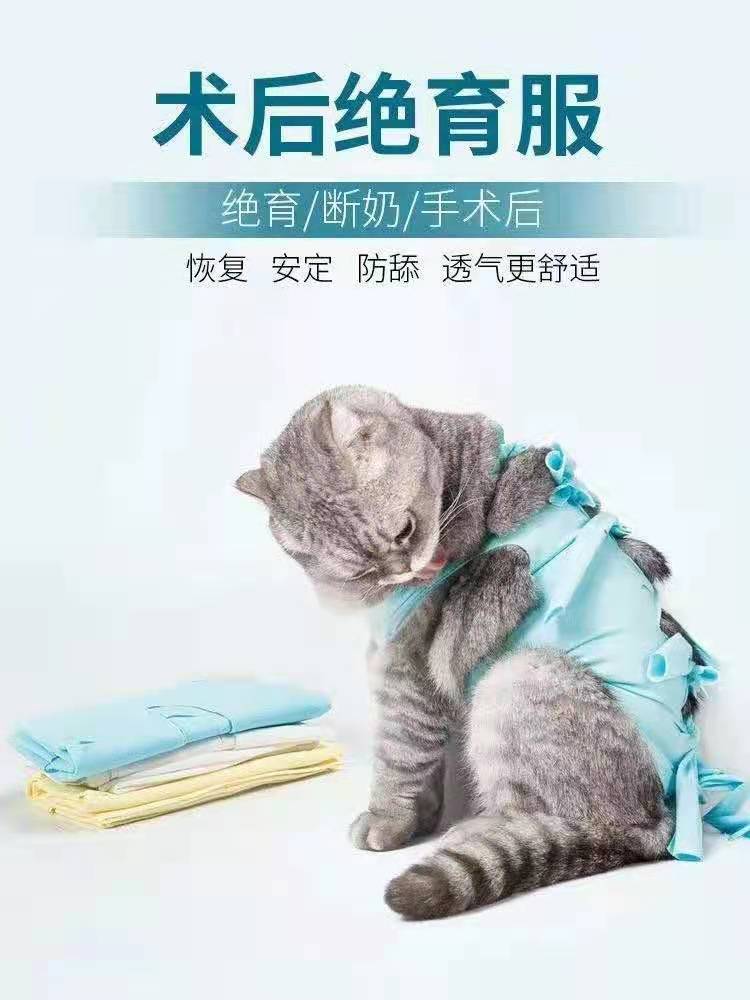 猫咪绝育服 公猫母猫纯棉透气手术服 断奶薄款防掉毛术后防舔衣服