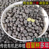 老品种黑豆5斤农家自产有机肥种植可循环留种不抛光不染色有虫眼