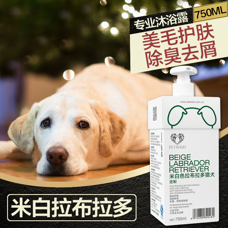 米白色拉布拉多专用洗澡杀菌除臭