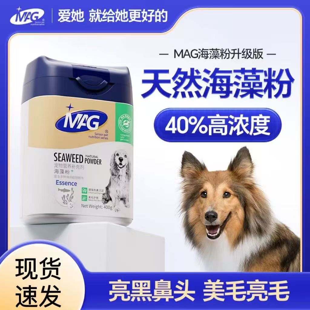 mag天然黑鼻头泰迪狗爆毛粉